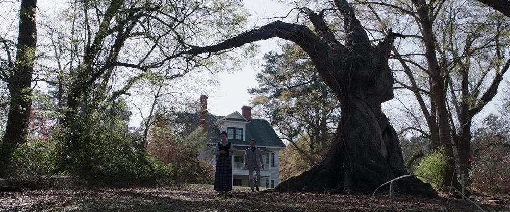 Eerie scene from Conjuring next to the tree